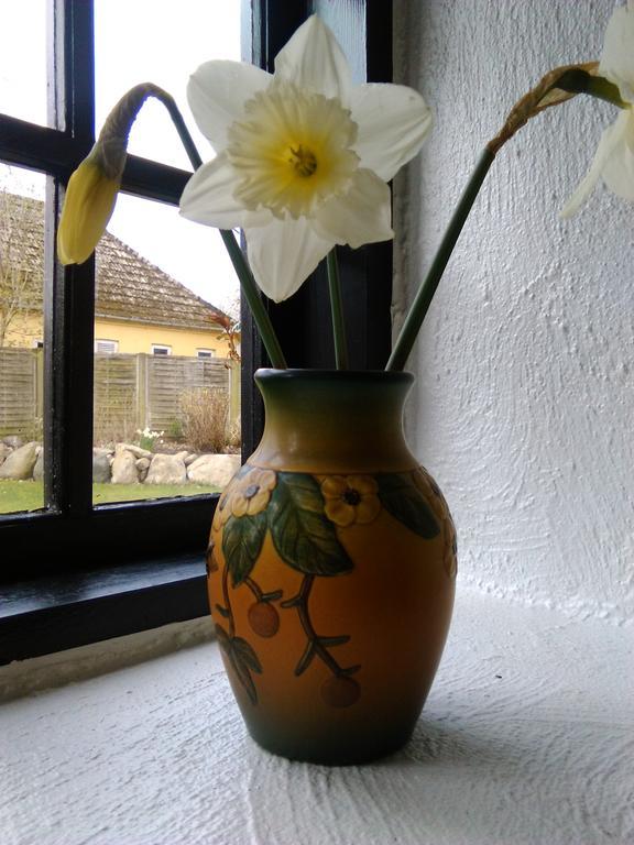 Dastrup Bed & Breakfast Viby 외부 사진