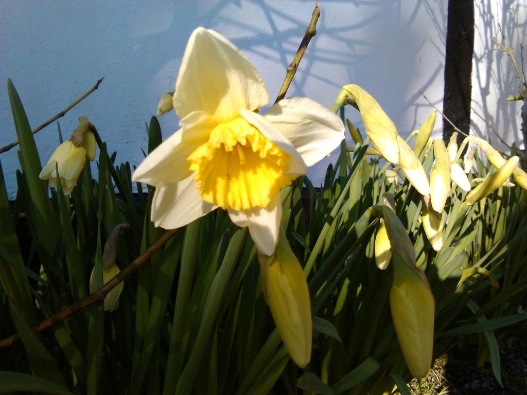 Dastrup Bed & Breakfast Viby 외부 사진