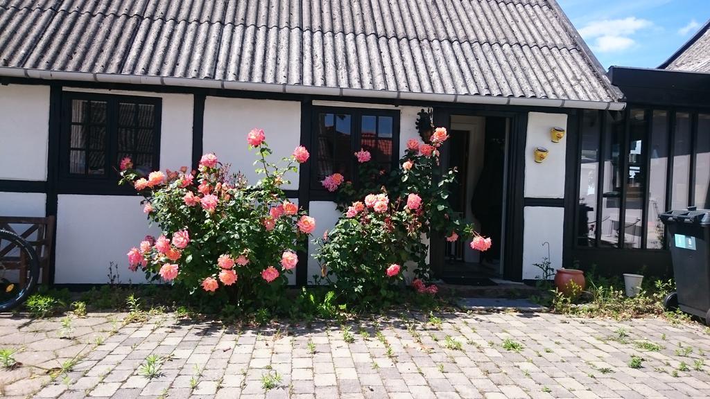 Dastrup Bed & Breakfast Viby 외부 사진