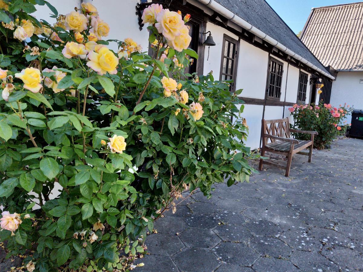 Dastrup Bed & Breakfast Viby 외부 사진